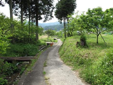 20140524hike (323)